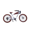 Vélo Urban Prenium